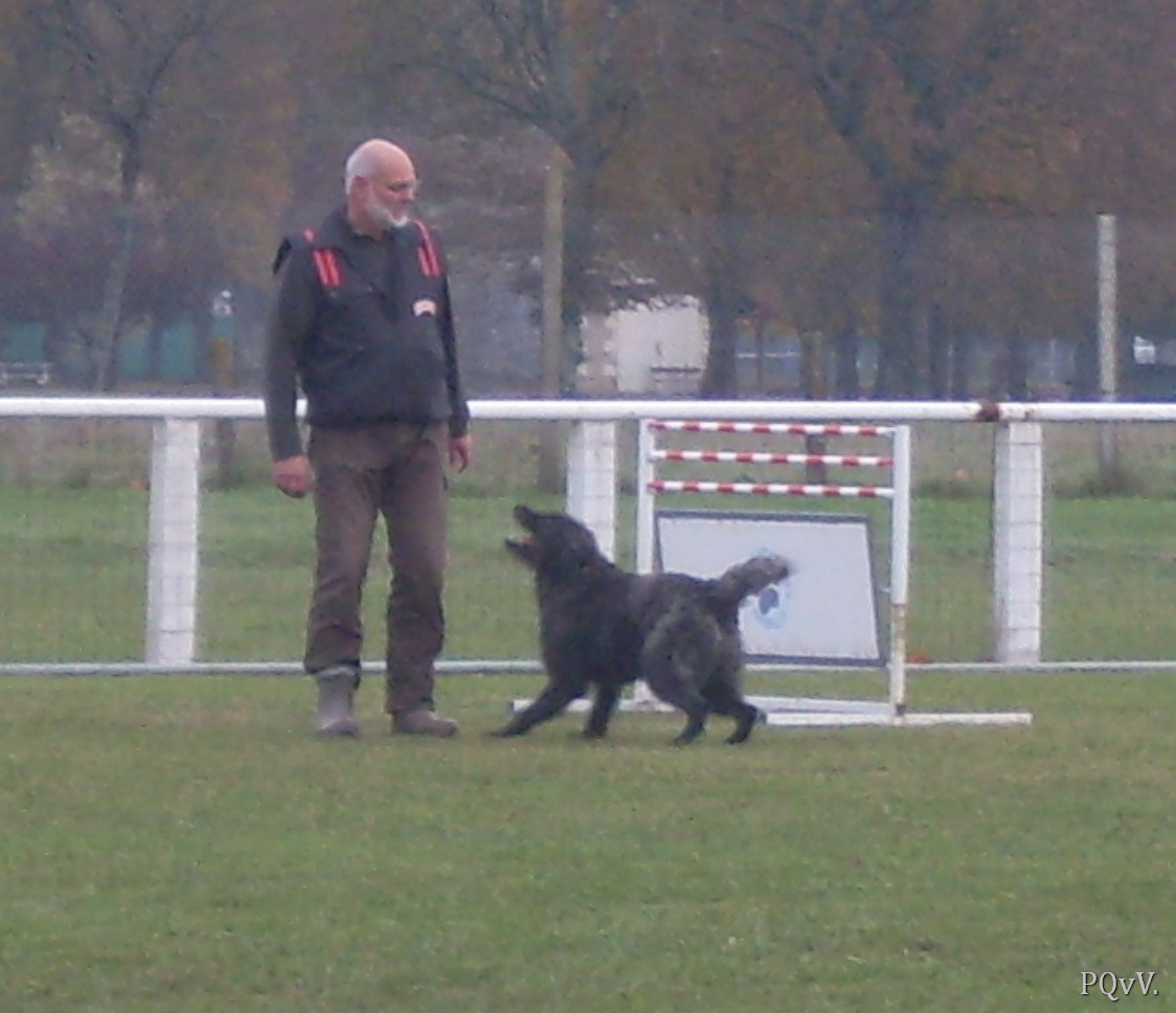  Email du Pré aux Vanneaux